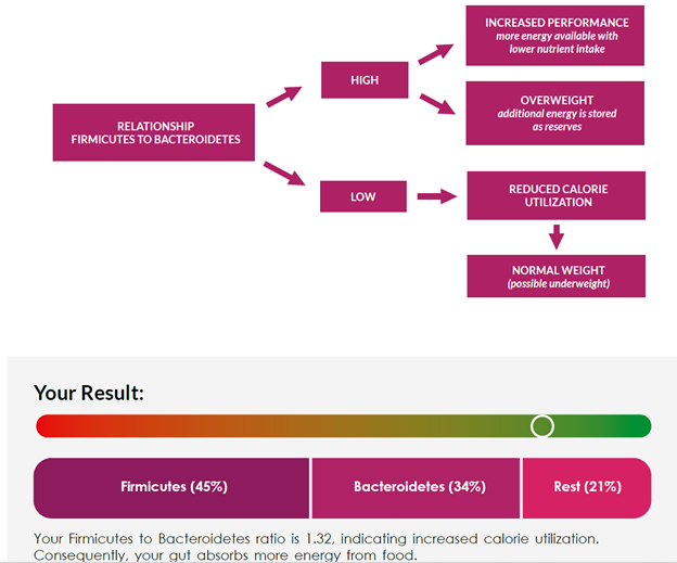 Discover the Secrets of Your Gut: A Dive into the Revolutionary Trax Gut Microbiome NGS Service