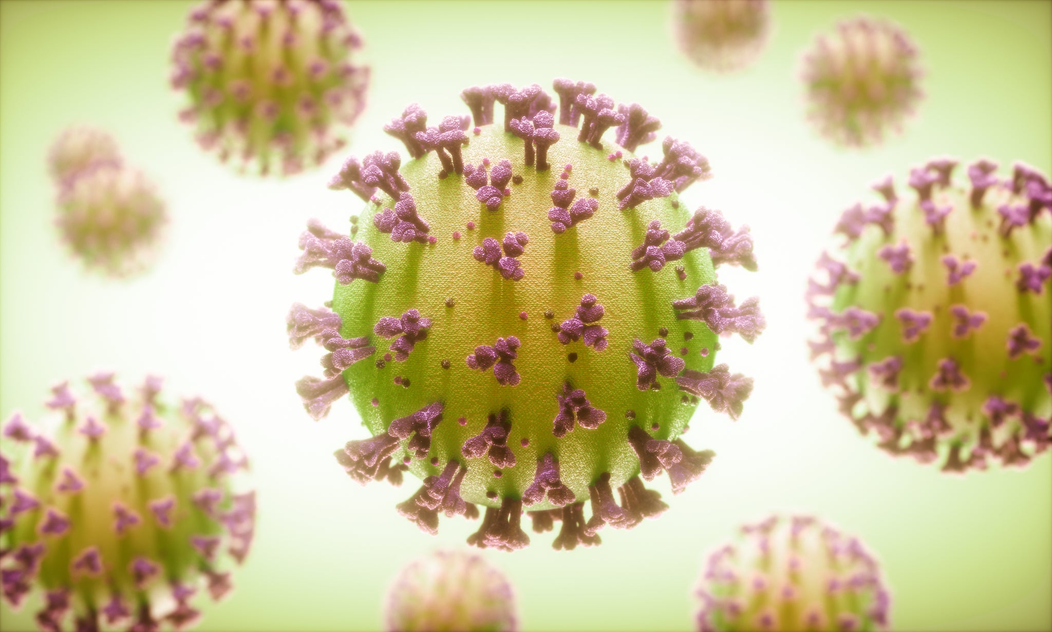 The Science Unleashed: Decoding the PhoenixDx SARS-CoV-2 PCR Test for Unparalleled Accuracy