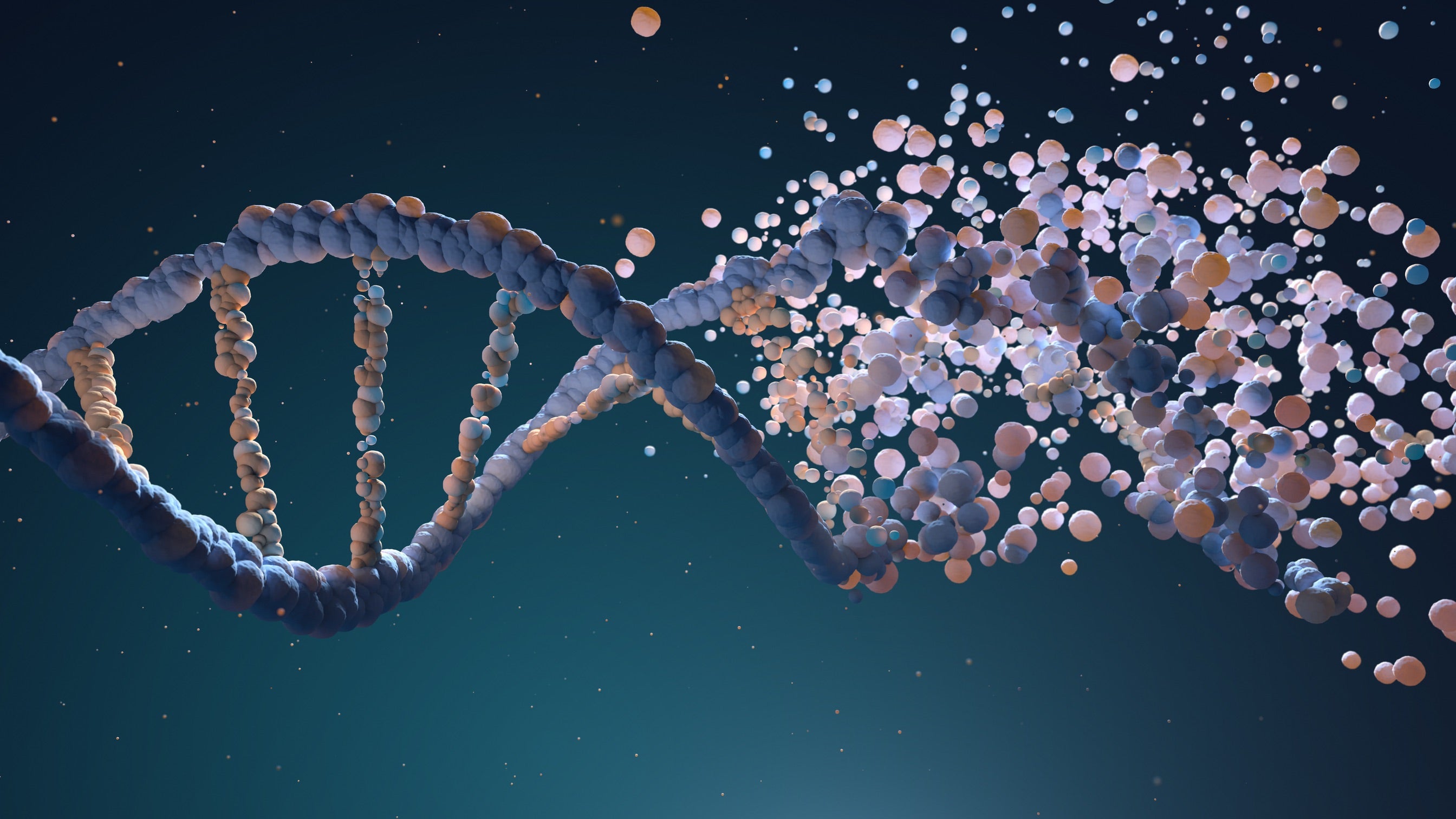 Endpoint PCR