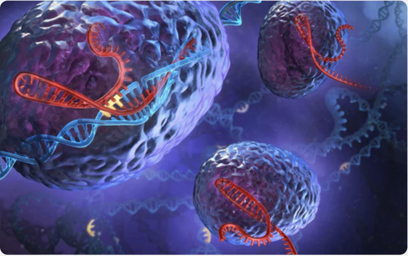 Reverse Transcription