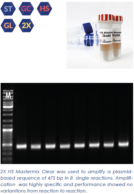 2X HS Mastermix Clear (2 mL, 80 rxn @ 25 µL/rxn) - TRAXSKU1004
