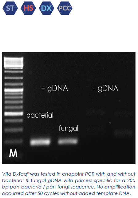 Vita DxTaq® HS PCR Kit (2500 units) - TRAXSKU1037