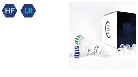 Vita High Fidelity Kit (100 rxn/50 µL) - TRAXSKU1024