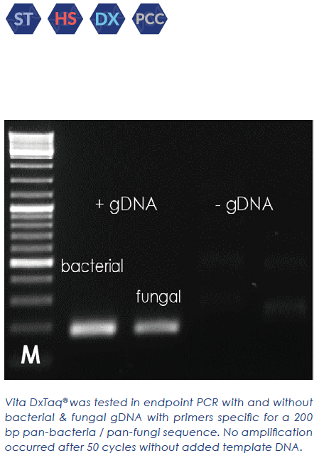 Vita DxTaq® HS PCR Kit (2500 units)