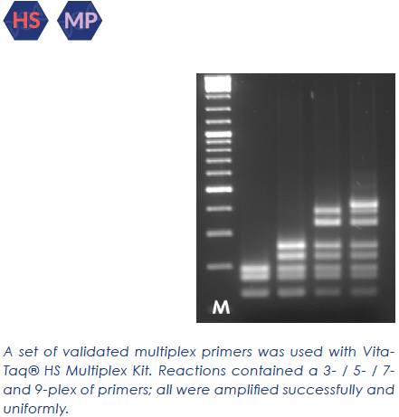 VitaTaq® HS Multiplex Kit (500 rxn/50µL)