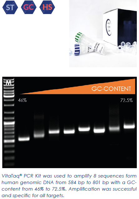 VitaTaq®HS PCR Kit (2500 units)